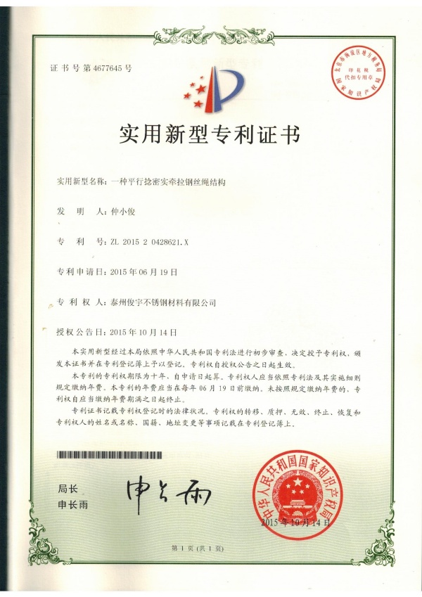 专利
