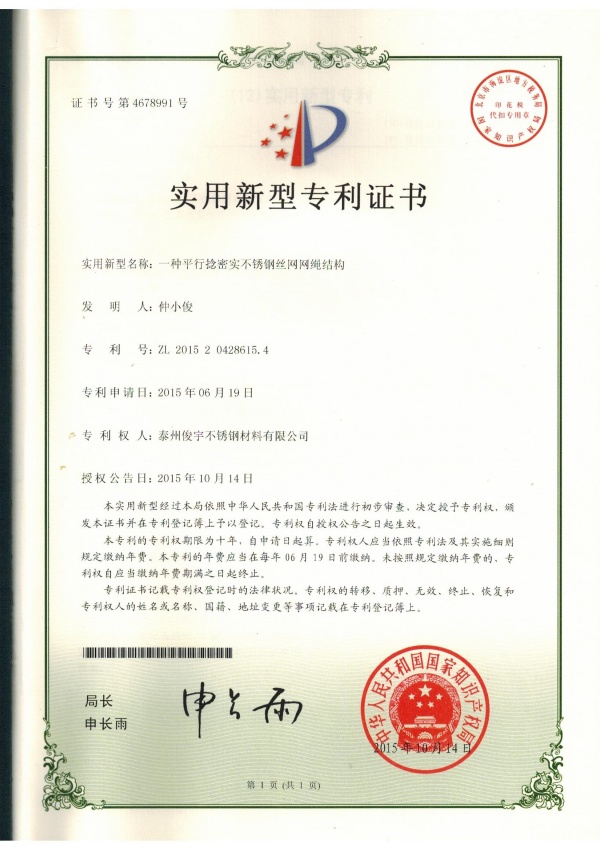 专利