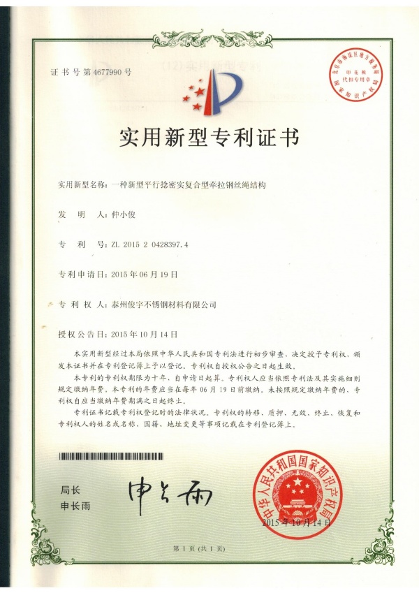 专利